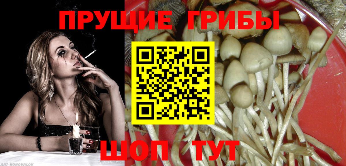 Галлюциногенные грибы Psilocybine cubensis Кушва