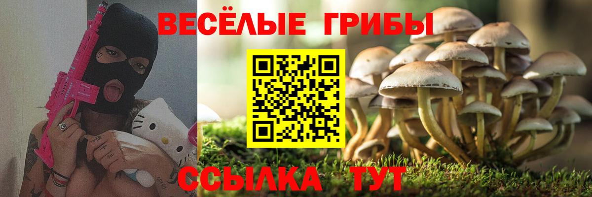 Псилоцибиновые грибы GOLDEN TEACHER  хочу   Вход с VPN  Кушва  Галлюциногенные грибы GOLDEN TEACHER 